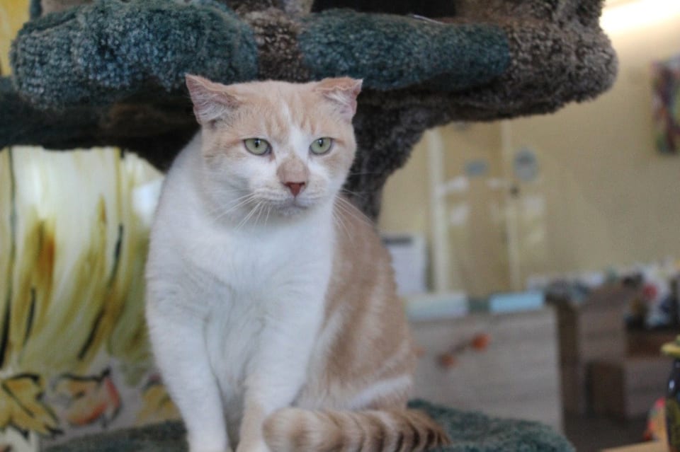 Photo of Cloud