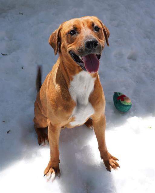 Photo of CHILI