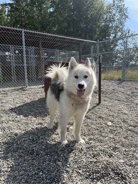 Photo of LILLY
