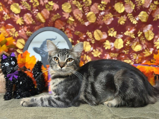 Photo of HILDA