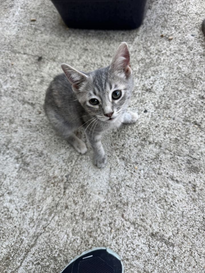 Photo of Praline