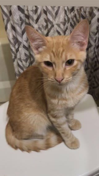 Photo of Oliver