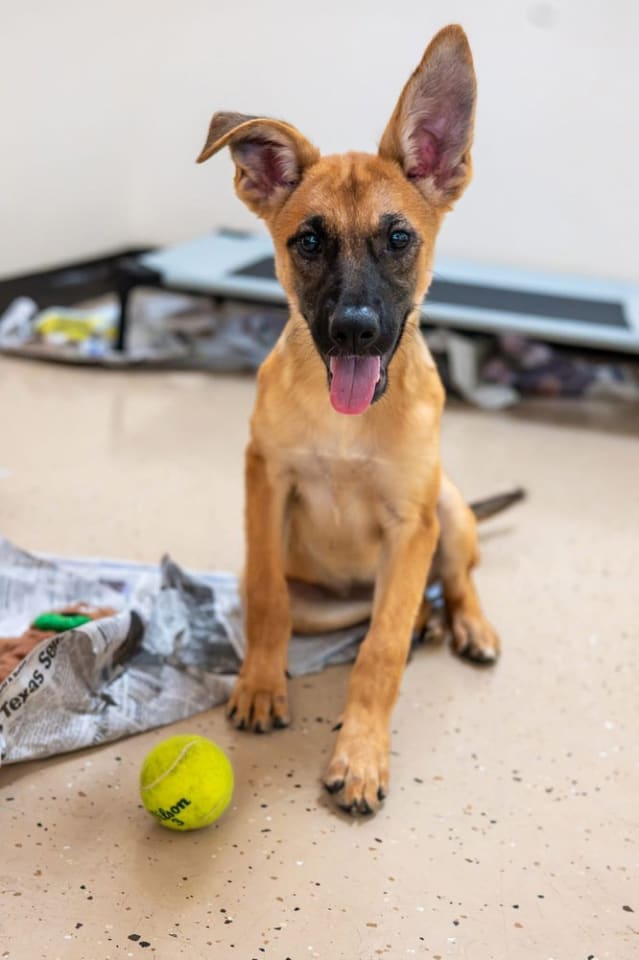 Photo of Dora