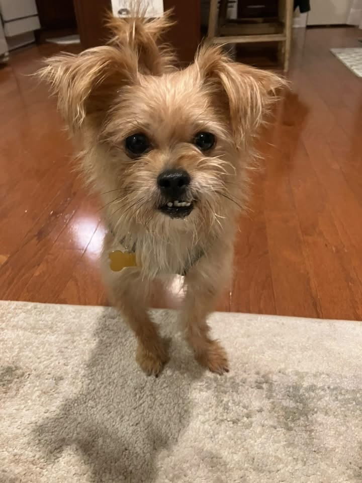 Photo of Harry