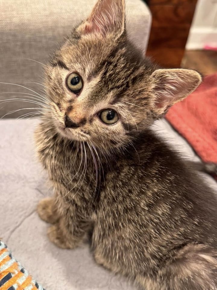 Photo of Thumbelina