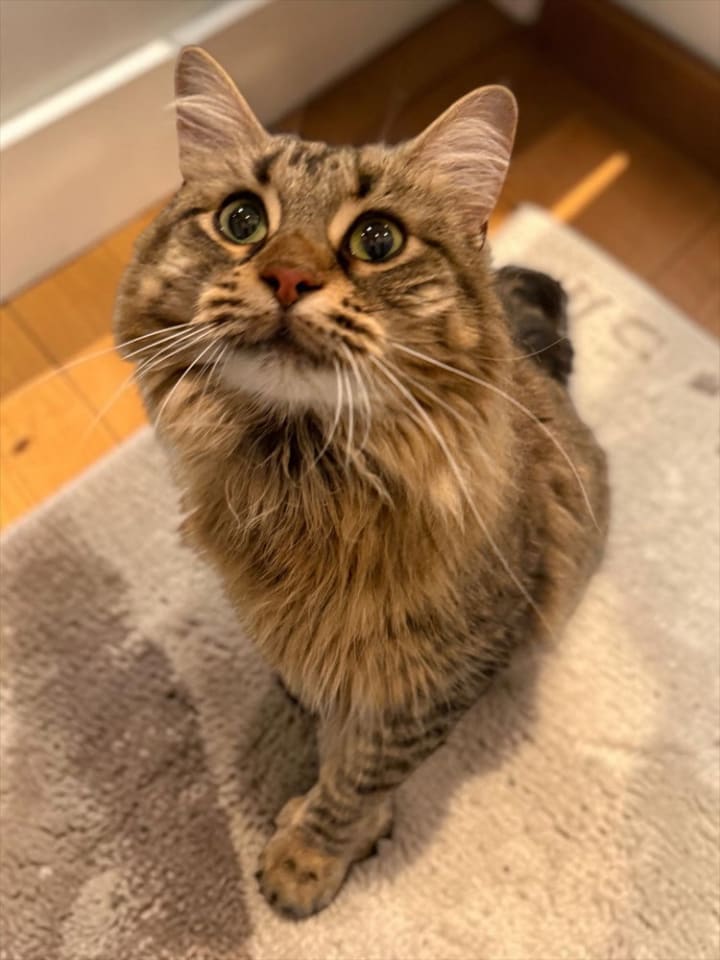 Photo of Miss Kensington