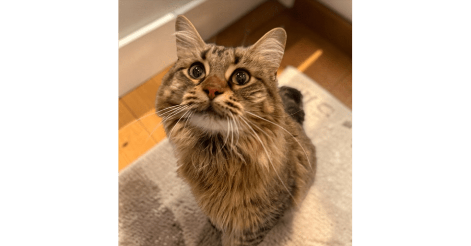 Photo of Miss Kensington