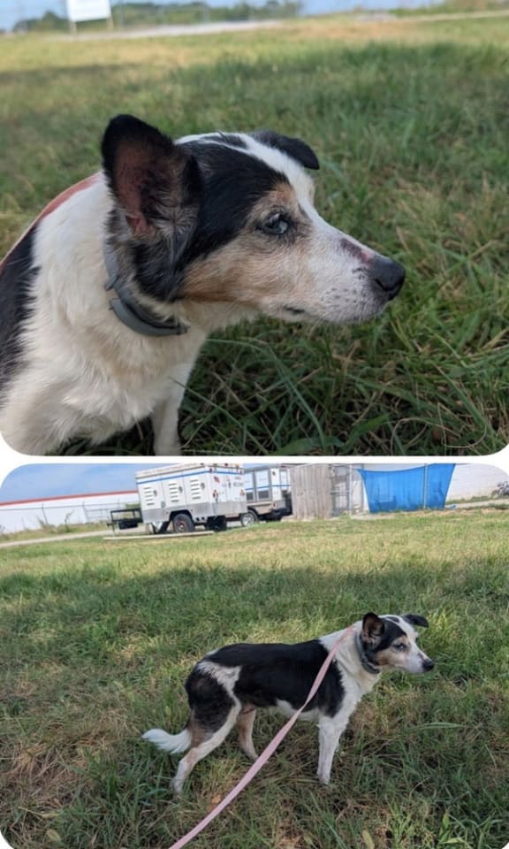 Photo of Lulu
