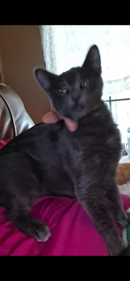 Photo of Storm