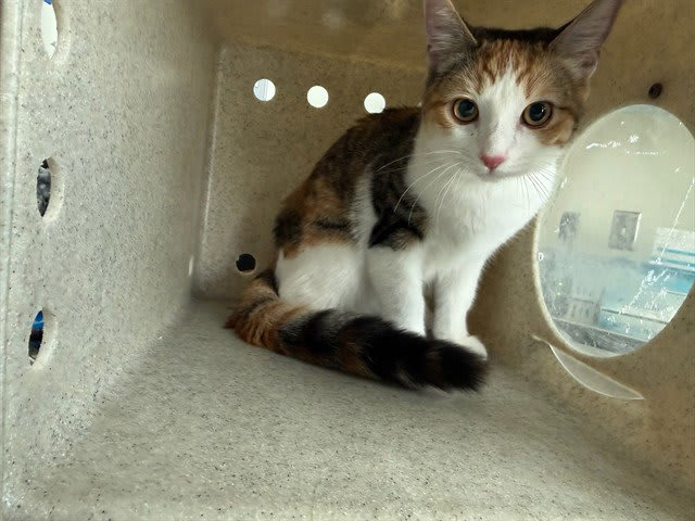 Photo of CUTIE