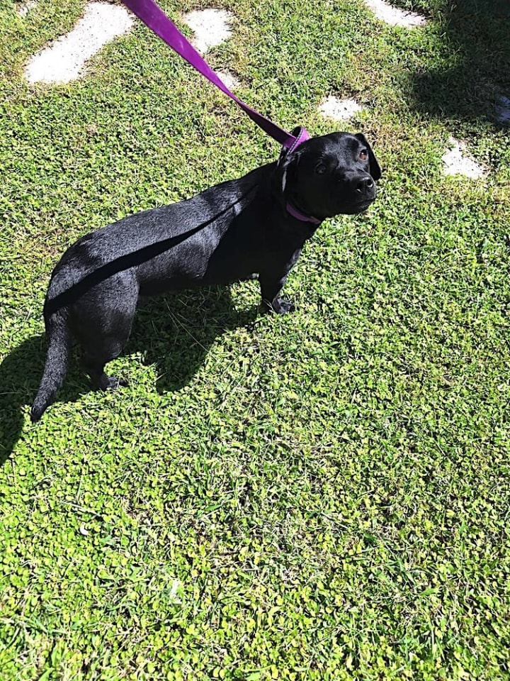 Photo of Jodie (Turkey) kt