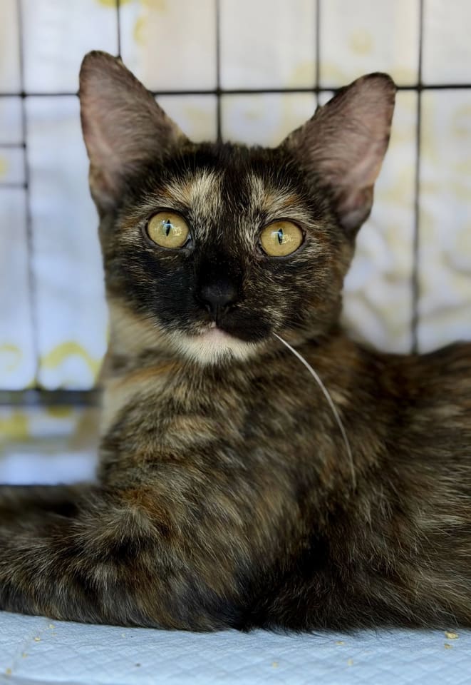Photo of Bobbie