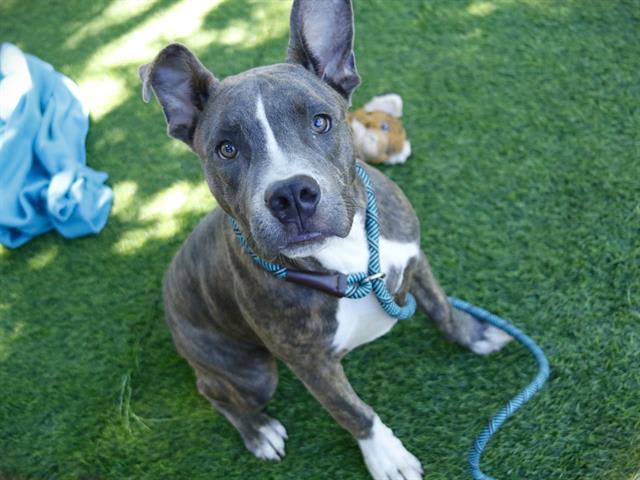 Photo of DUMBO