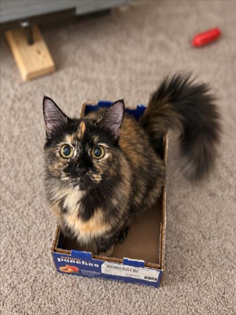 Photo of LUNA