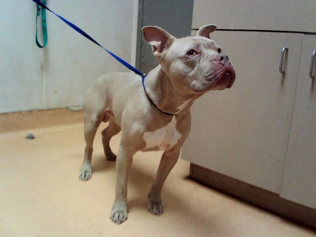 Photo of BLUE