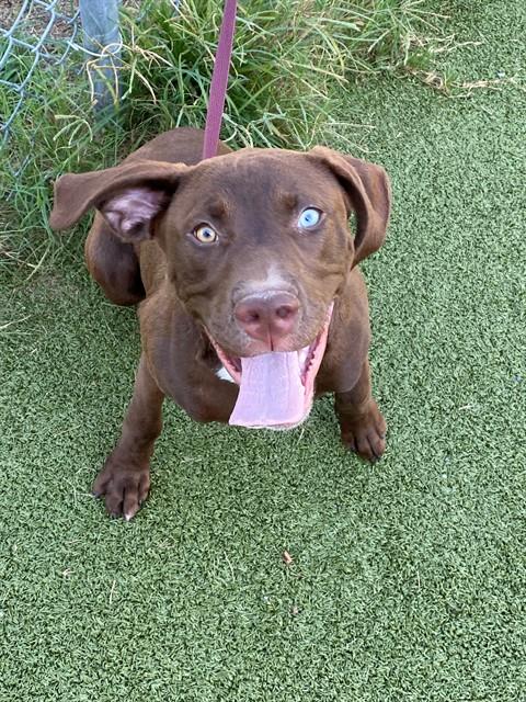 Photo of GUS
