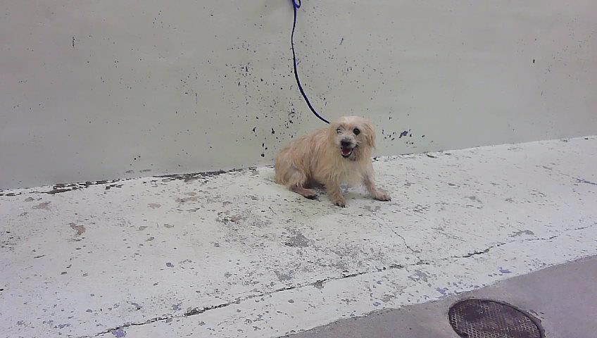 Photo of PEANUT