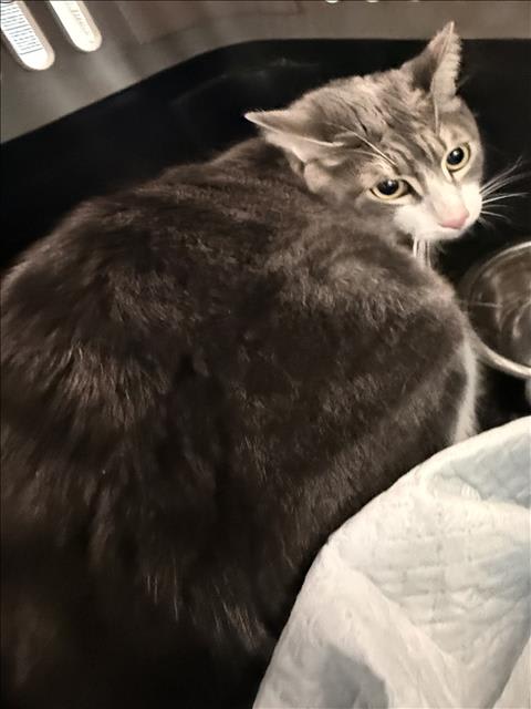 Photo of TOMMY