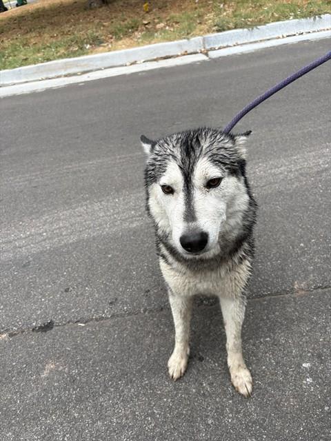 Photo of SIERRA