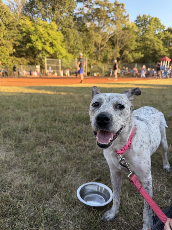 Photo of Daisy