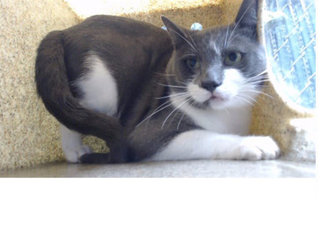 Photo of BIG BOY