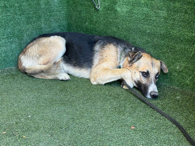 Photo of JACK