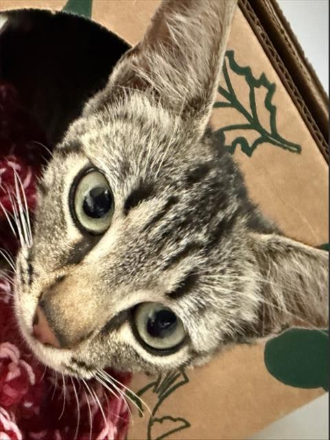Photo of RUBY