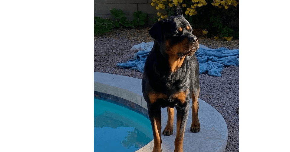 Photo of Alexander