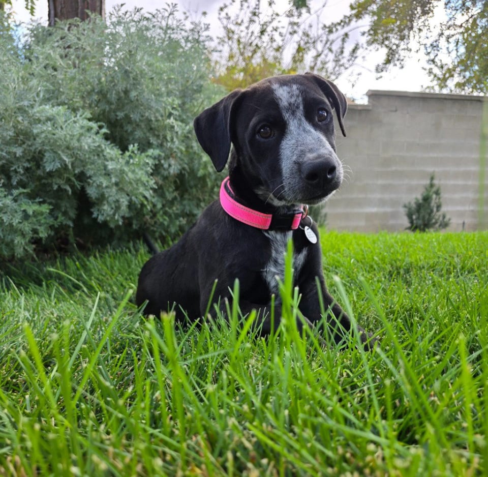 Photo of Mazzy