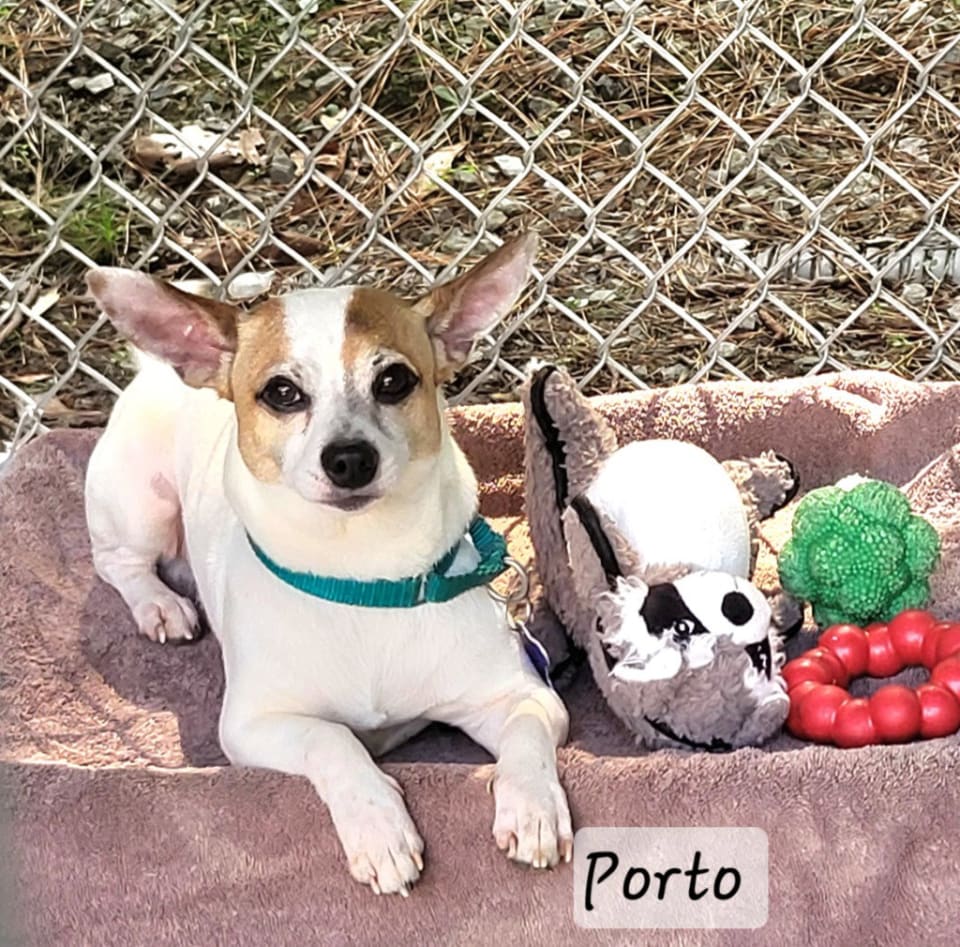 Photo of Porto