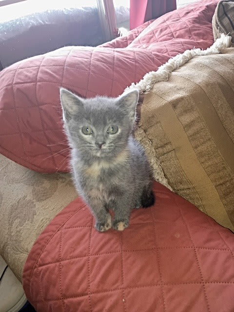 Photo of Tabitha