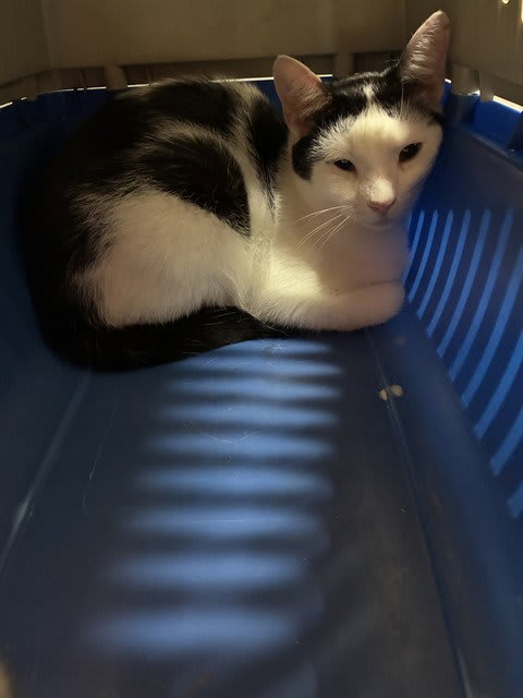 Photo of ZERO