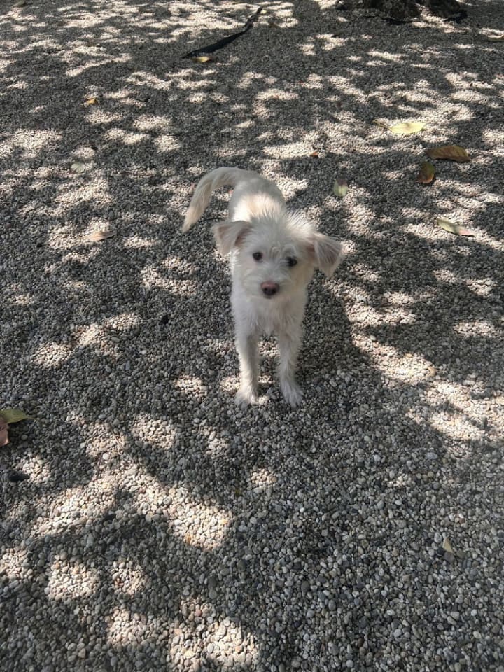 Photo of Maisie