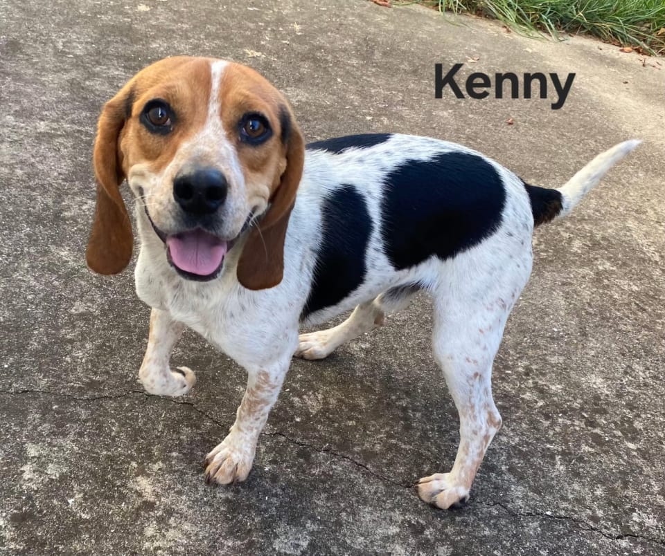 Photo of KENNY B