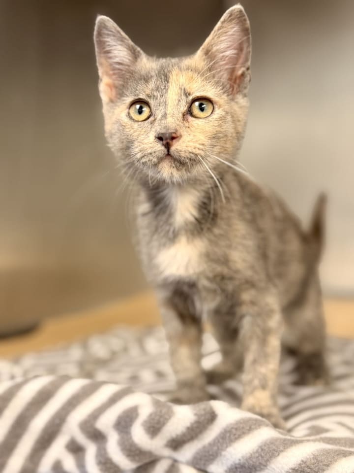 Photo of Darla