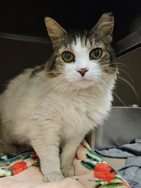 Photo of MIMI