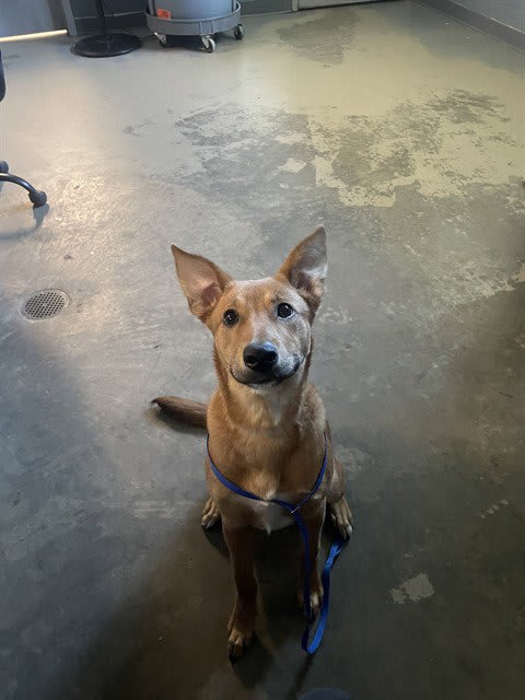 Photo of LUNA