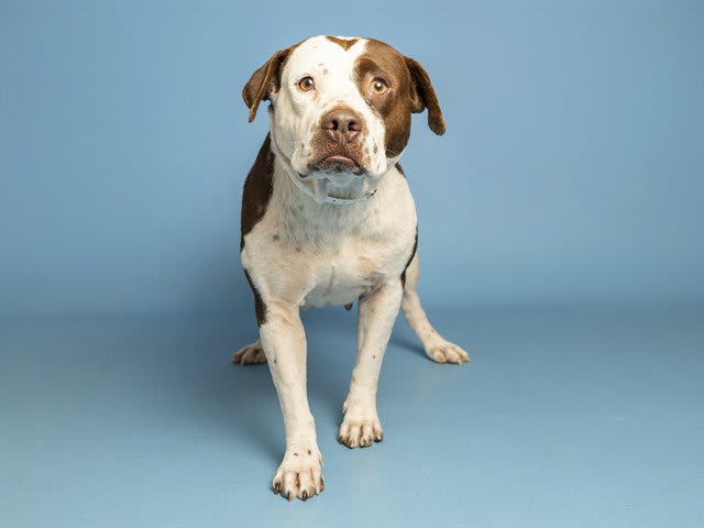 Photo of MAGGIE