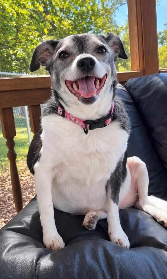 Photo of Lucy Mae