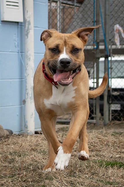 Photo of SHERA