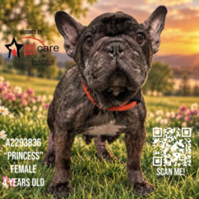 Photo of PRINCESS