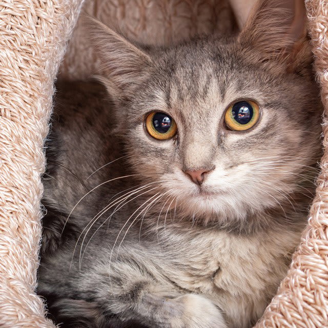Photo of RUBY