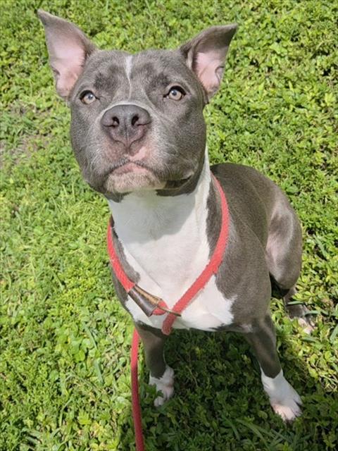 Photo of MISTY