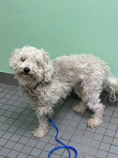 Photo of CASPER