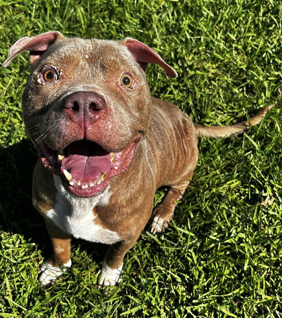 Photo of ZEUS