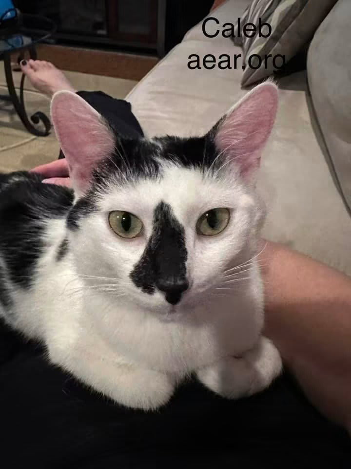Photo of Caleb
