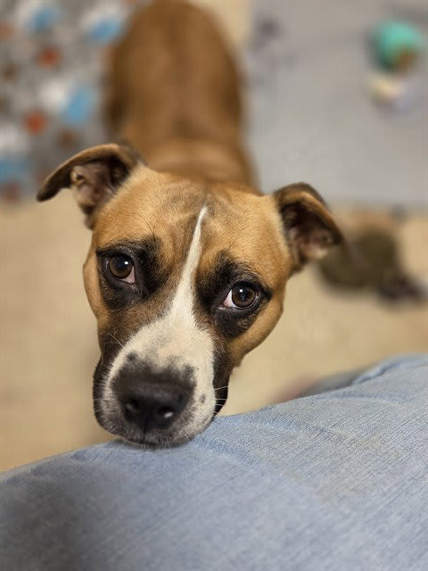 Photo of LILY KATHRYN