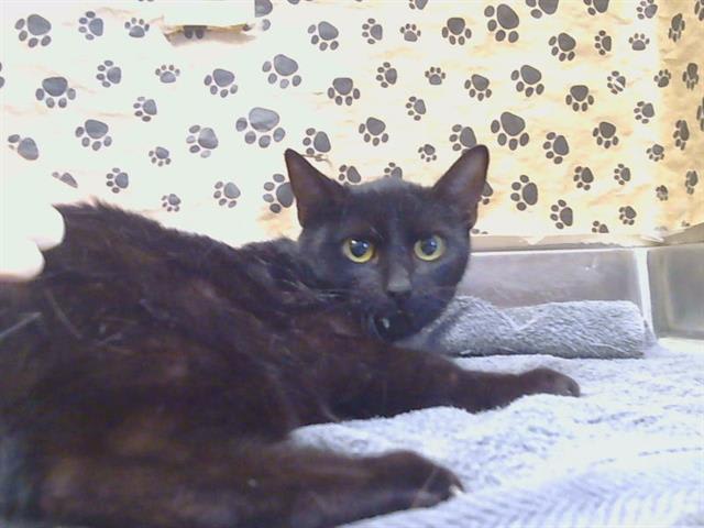 Photo of ESTELLE