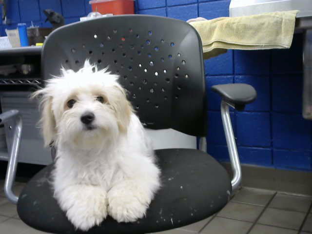 Photo of PUDGY