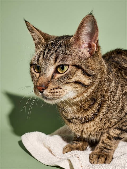 Photo of Max